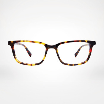 Ex-Display Wells/Classic Tortoise Blue Light Glasses